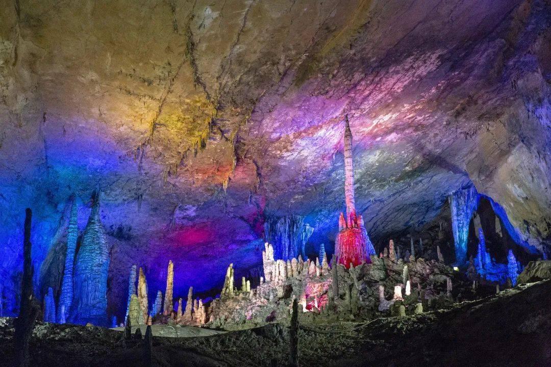 燃烧吧大脑免广告最新版