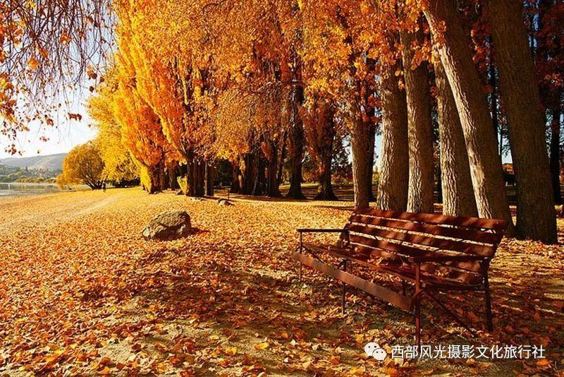 杀戮尖塔猎手最强流派游戏画面