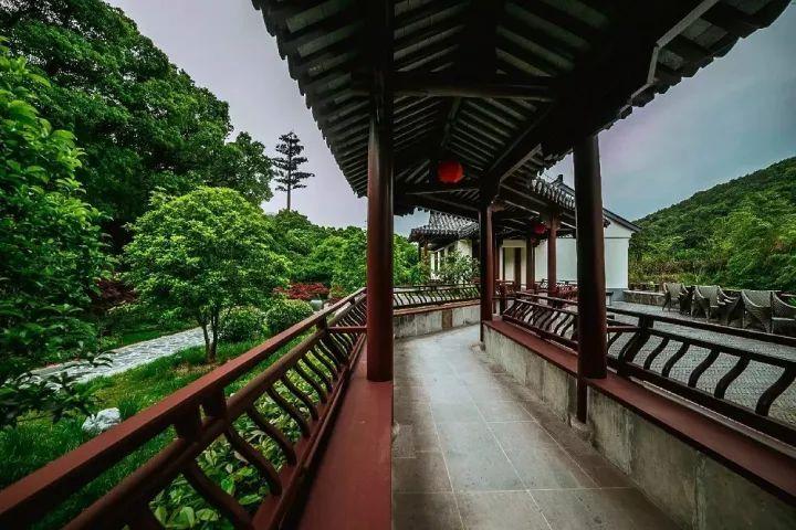 红树林逃生