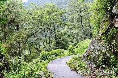 逃离遗弃的建筑3