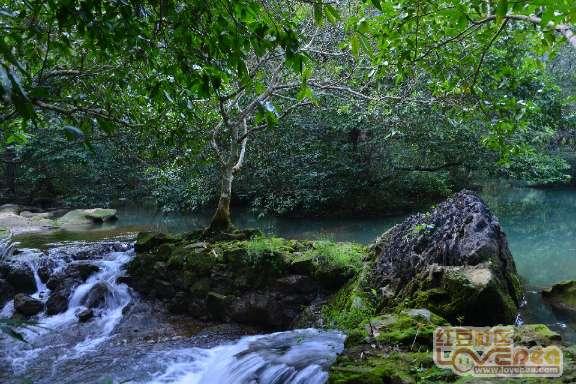 就业援助送岗位!吴忠市红寺堡区举办专场招聘会促重点群体就业