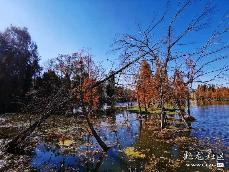 发现你喜欢的冯小刚、张国立退出共同持股公司,背后的原因有哪些?话题的红迪网平台