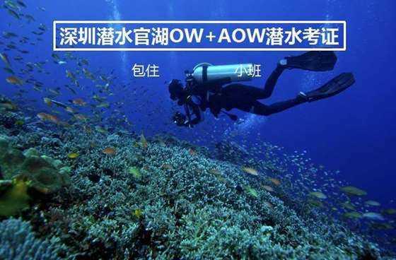 骑士的侍从