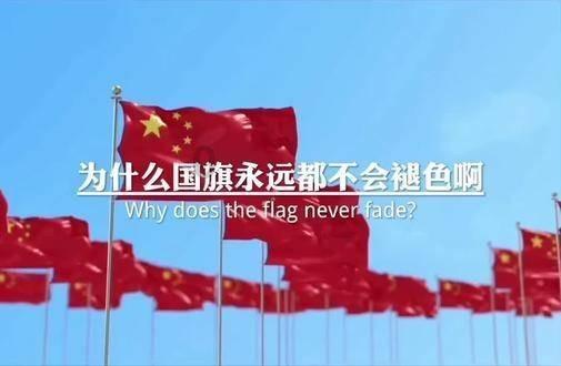 全民烧脑3去广告版