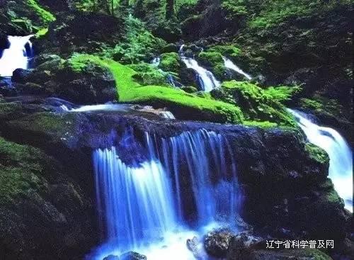 面条有哪些好吃的做法呢？