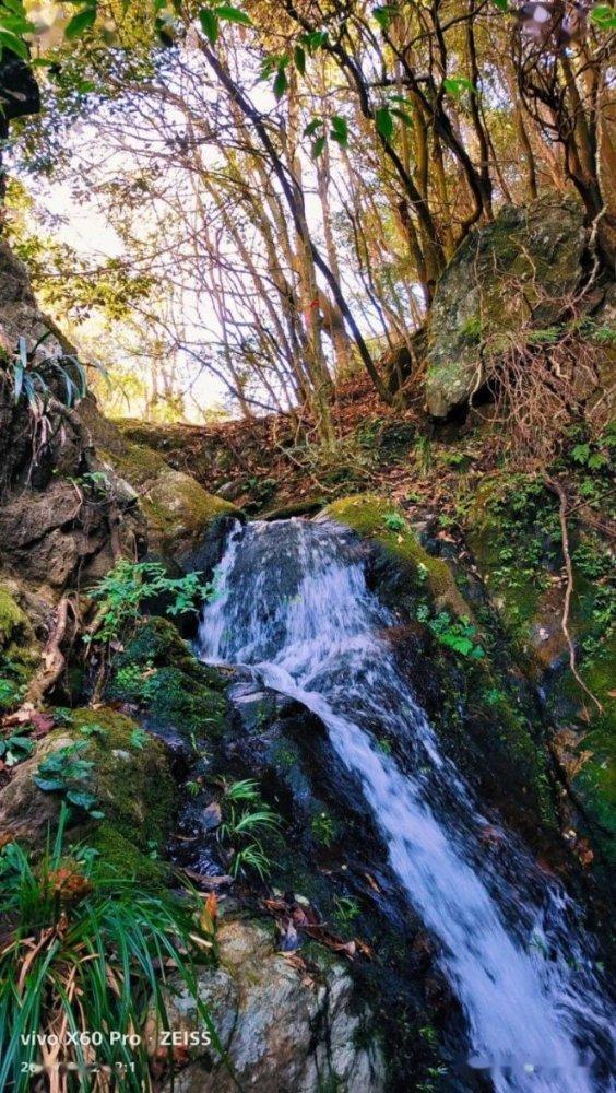 辽宁一学生墙边取外卖，竟遭一男子持铁锹扬沙阻拦，校方对此有何回应？游戏画面