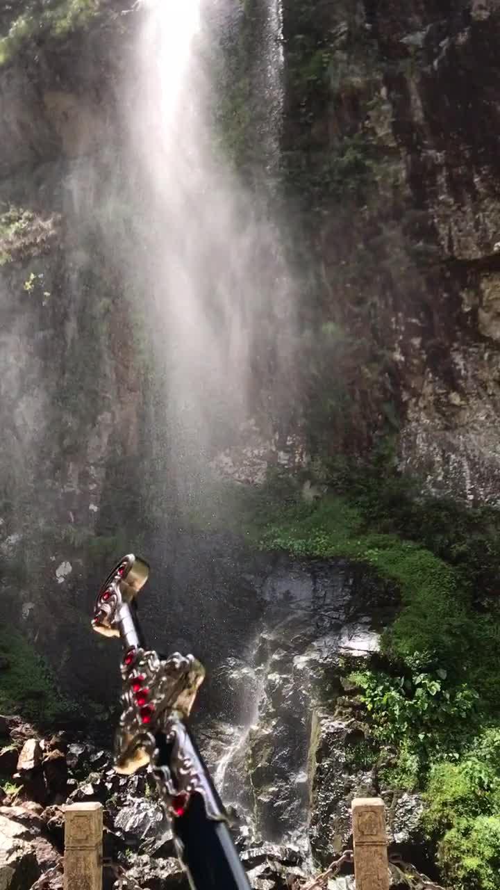 翻转吧，苹果虫
