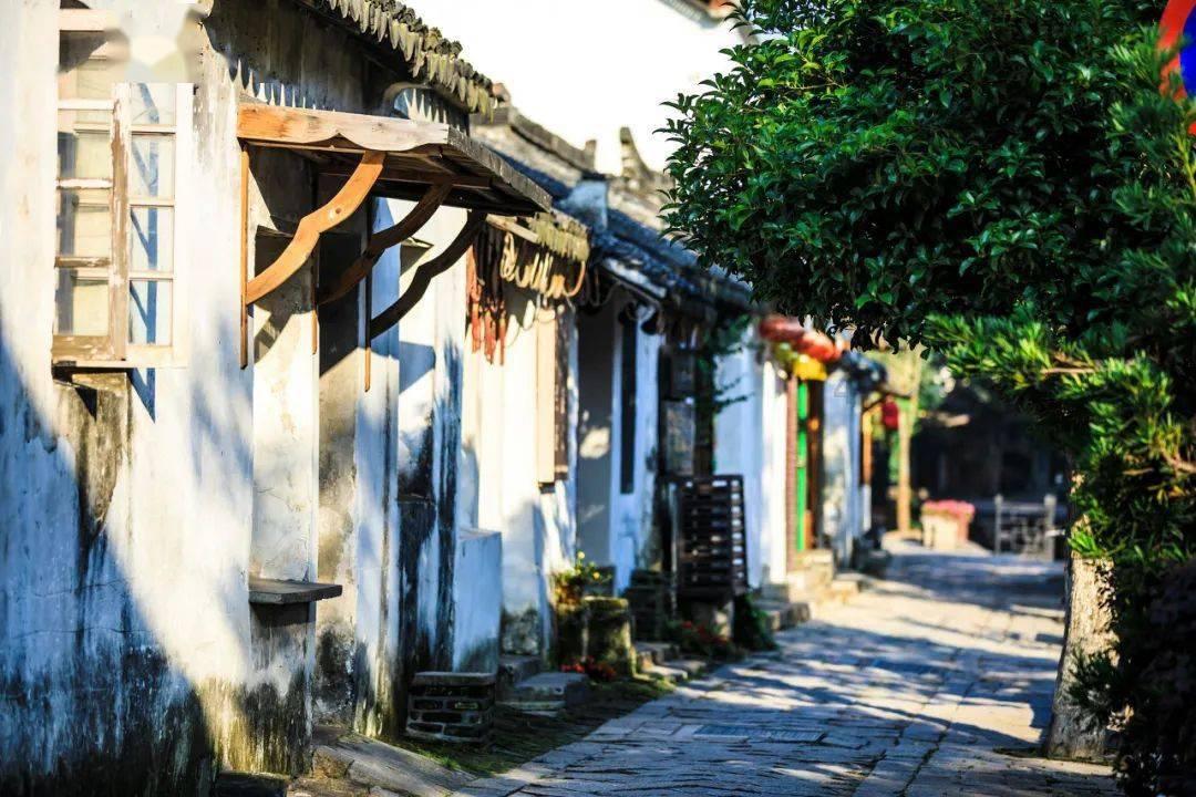 白化摇篮曲