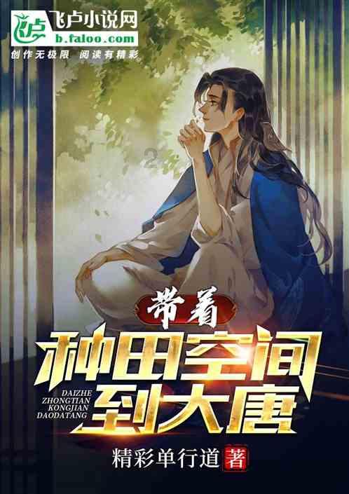 清朝从皇太极至宣统皇帝一共封了多少个亲王游戏画面