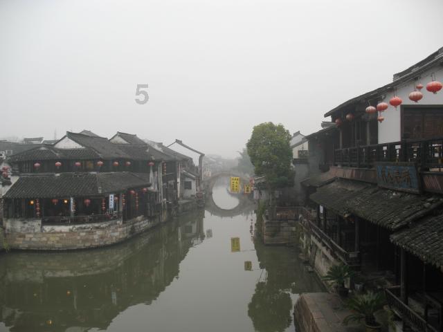 动物帮帮忙保卫家园