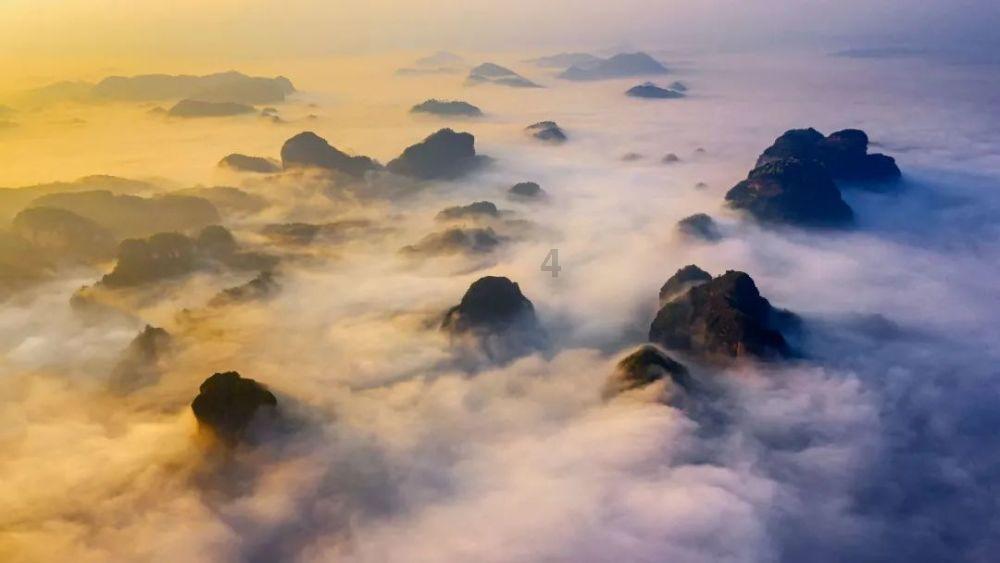 奇点灰烬